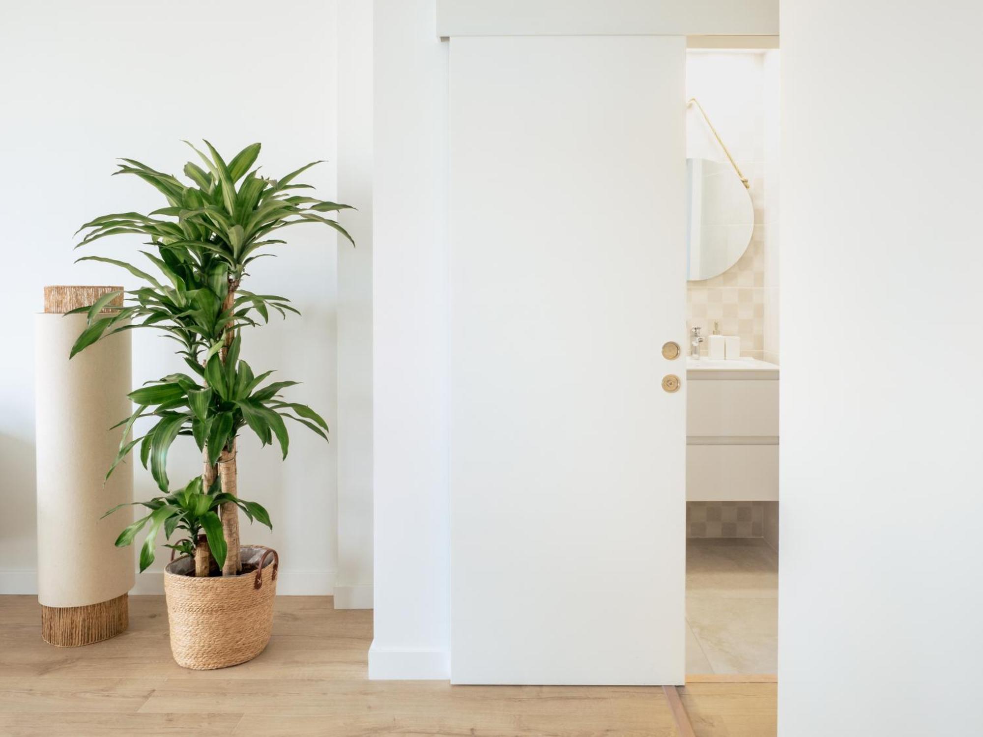 Apartamento Abora Views, With Terrace, Office And Free Parking For Temporary