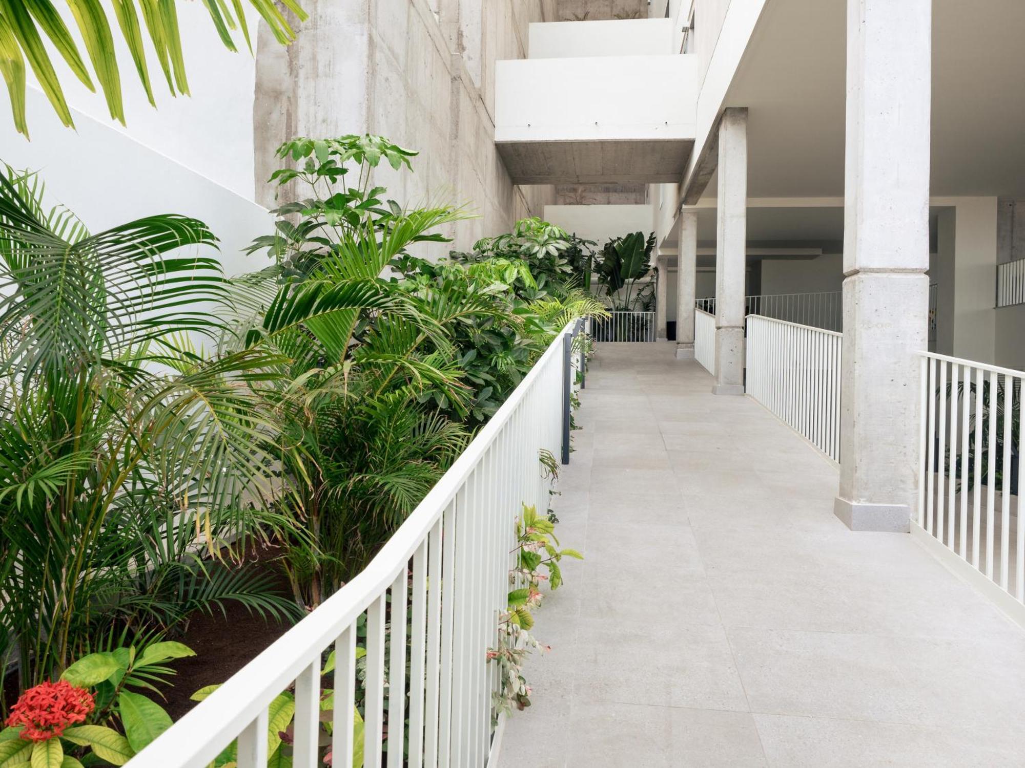 Apartamento Abora Views, With Terrace, Office And Free Parking For Temporary *